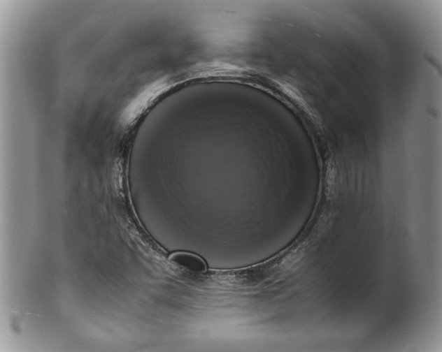 X0000099931455200806131351