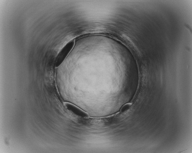 X0000099931457200806131351