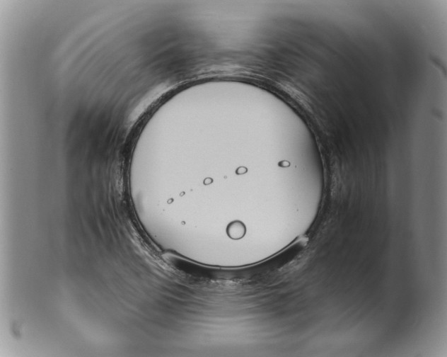 X0000099931458200806131351