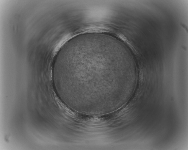 X0000099931459200806131351