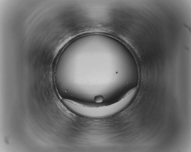 X0000099931460200806131351