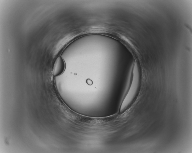 X0000099931461200806131351