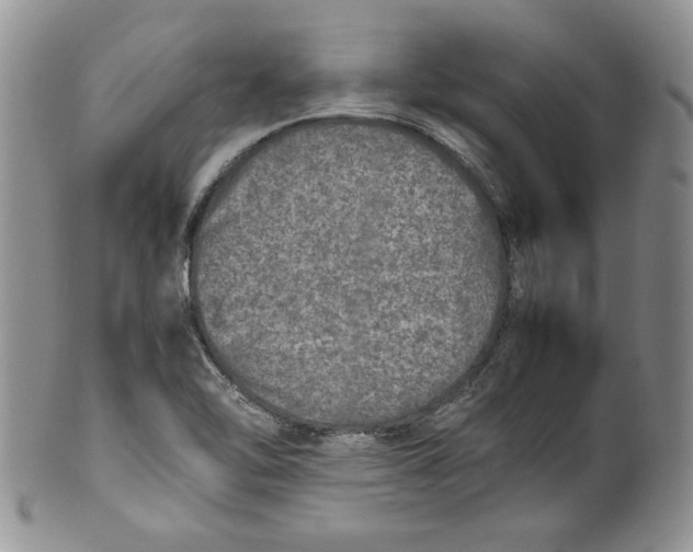 X0000099931462200806131351