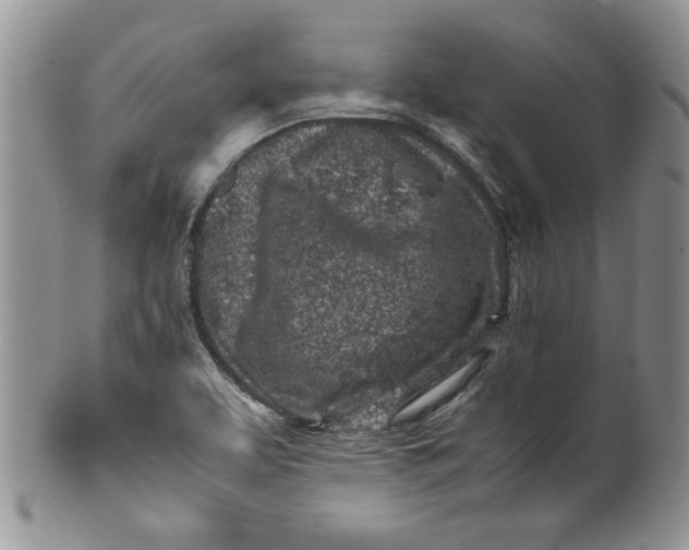 X0000099931463200806131351