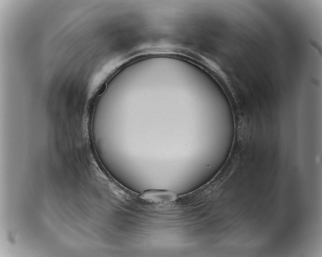 X0000099931464200806131351