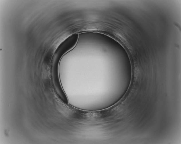 X0000099931465200806131351