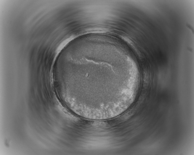 X0000099931466200806131351