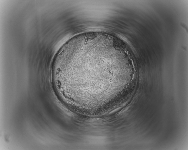 X0000099931467200806131351