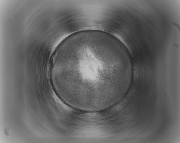 X0000099931468200806131351