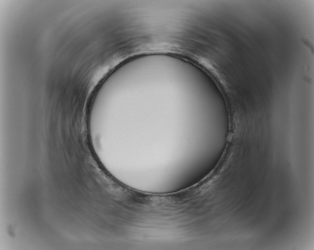 X0000099931469200806131351