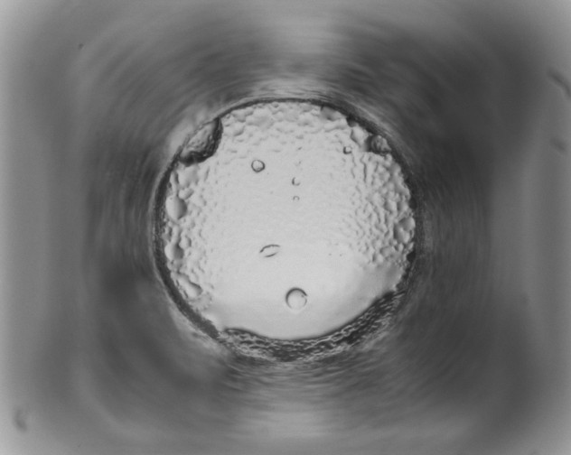 X0000099931471200806131351