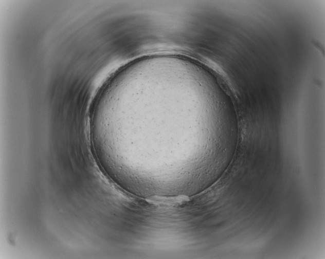 X0000099931472200806131351