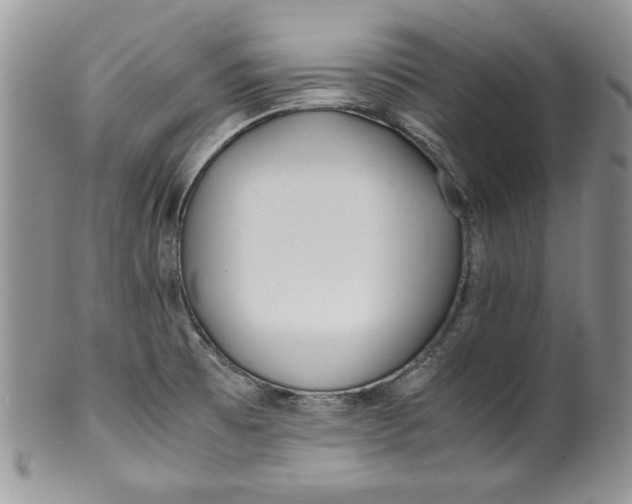 X0000099931473200806131351