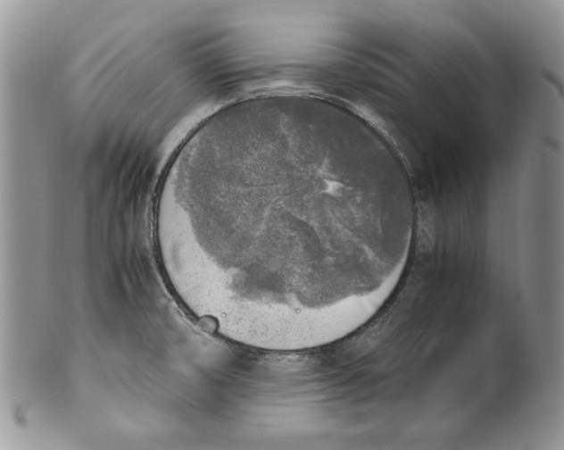 X0000099931474200806131351