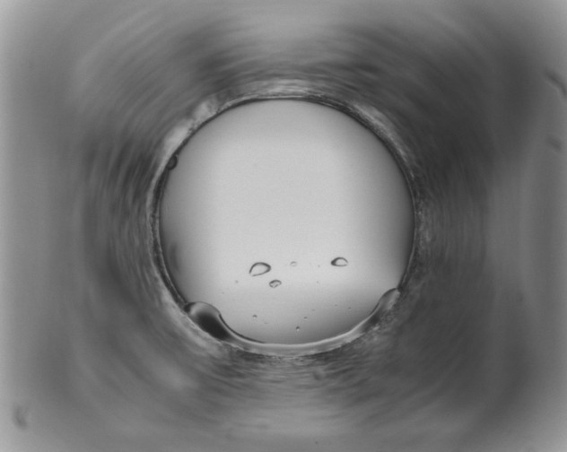 X0000099931475200806131351