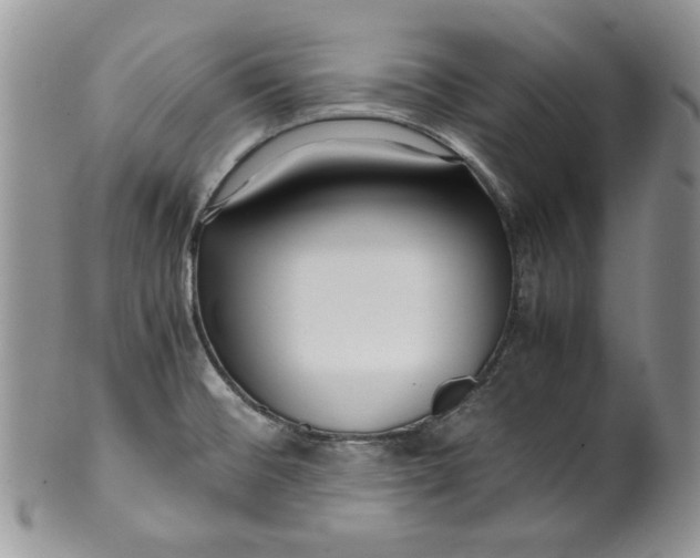 X0000099931476200806131351