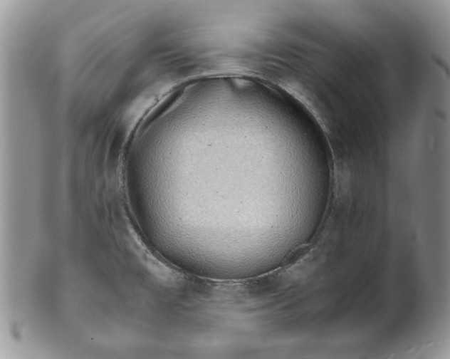 X0000099931477200806131351