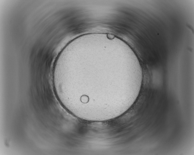 X0000099931478200806131351