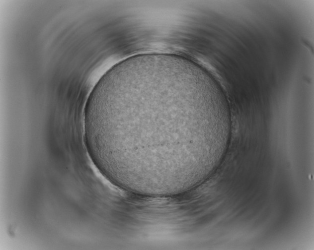 X0000099931479200806131351