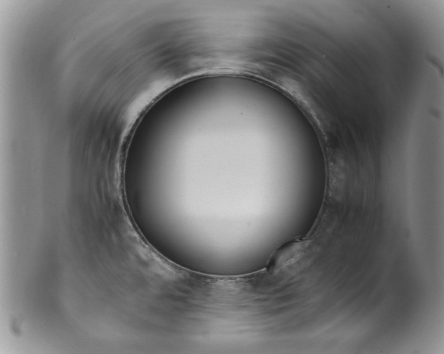 X0000099931480200806131351