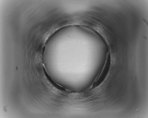 X0000099931481200806131351