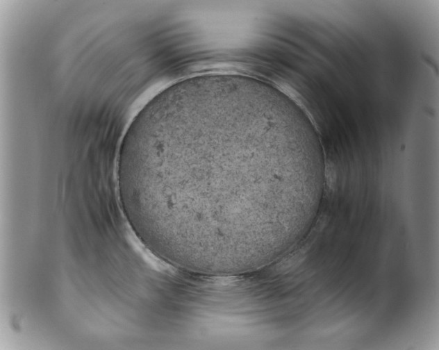 X0000099931482200806131351