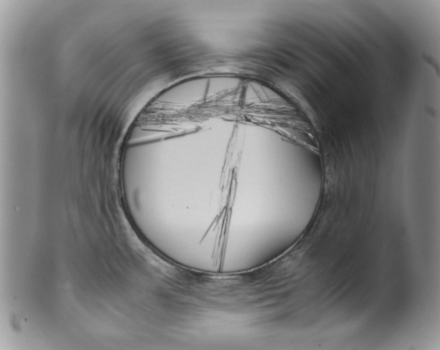 X0000099931483200806131351