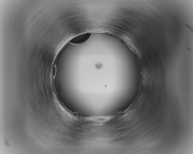 X0000099931484200806131351