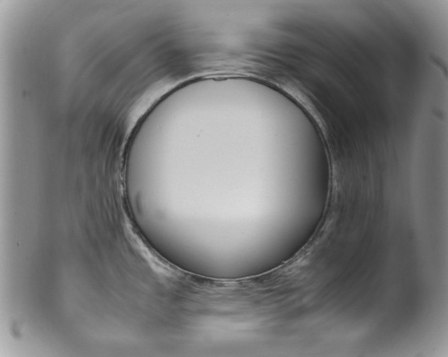 X0000099931485200806131351