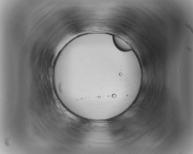 X0000099931486200806131351