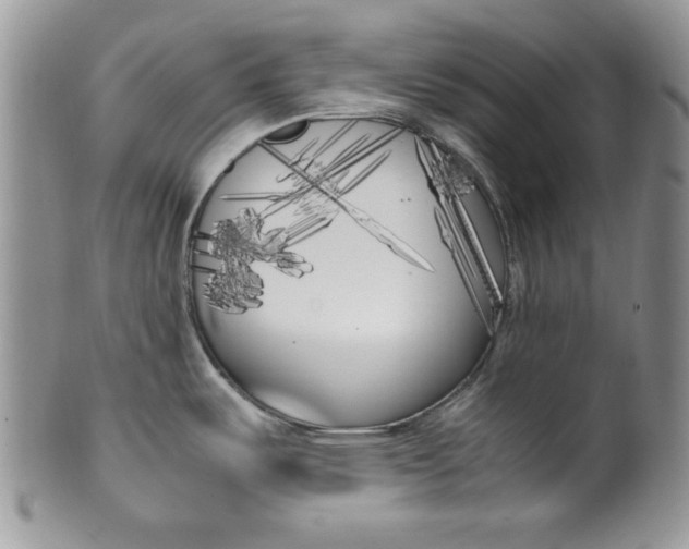 X0000099931487200806131351