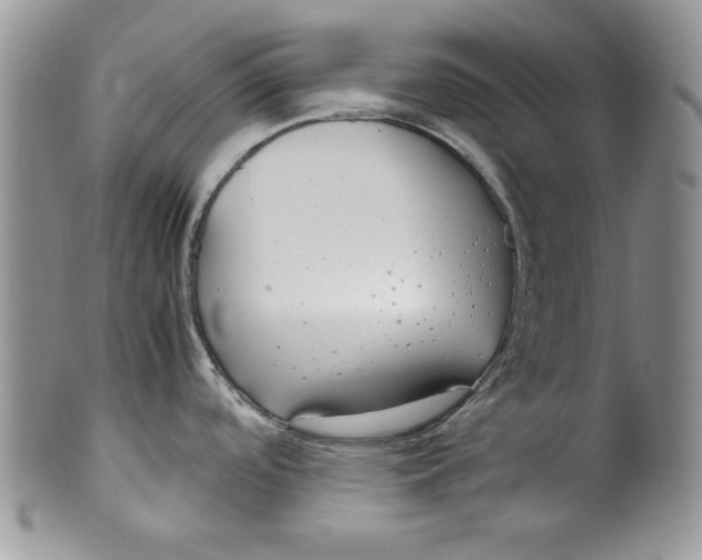 X0000099931488200806131351