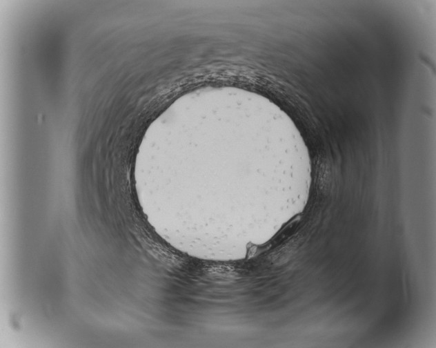 X0000099931489200806131350