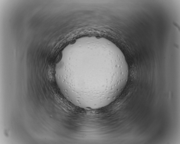 X0000099931490200806131350