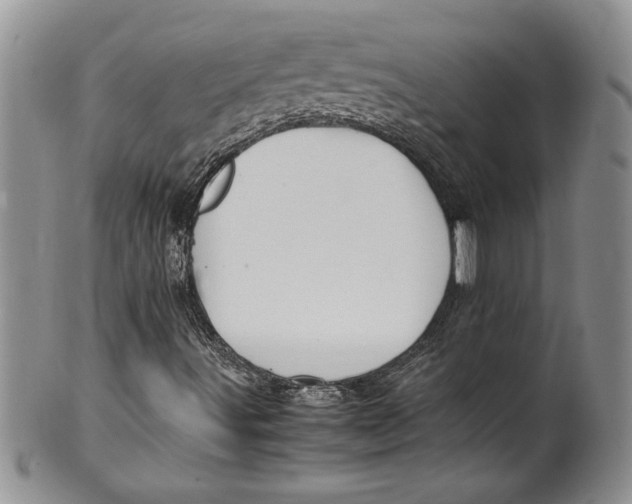 X0000099931491200806131350