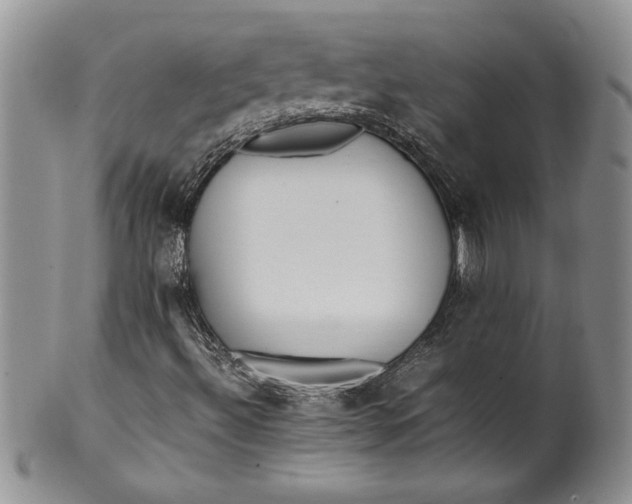 X0000099931492200806131350