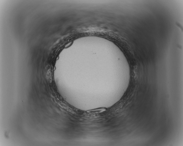 X0000099931493200806131350