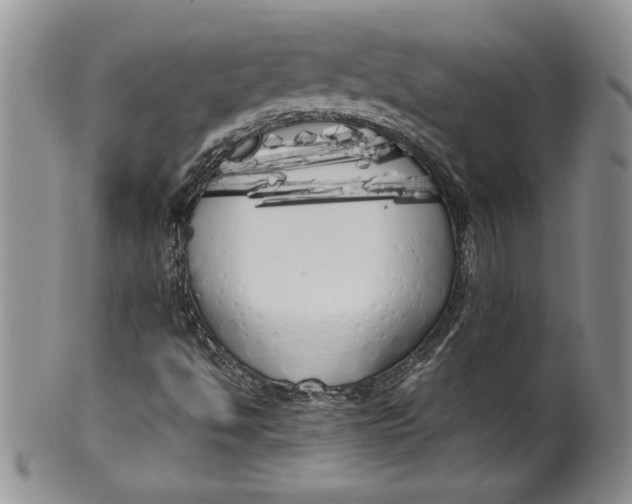 X0000099931494200806131350