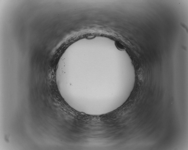 X0000099931495200806131350