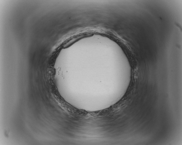 X0000099931496200806131350