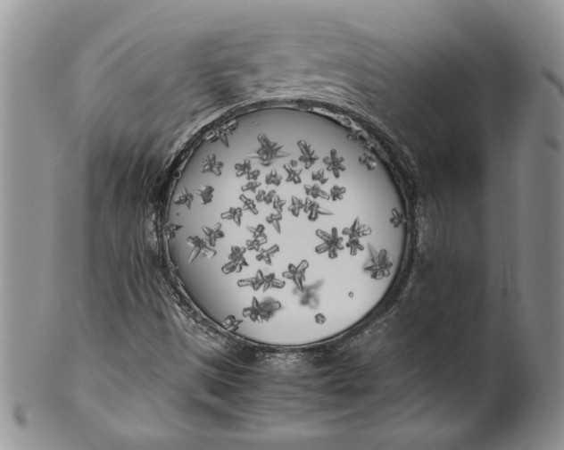 X0000099931497200806131350