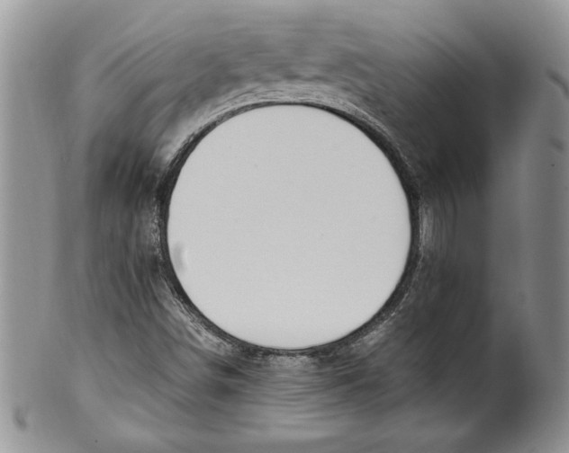 X0000099931498200806131350