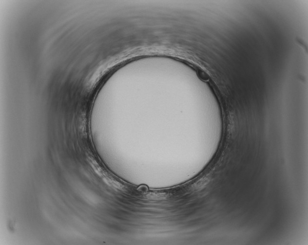 X0000099931499200806131350