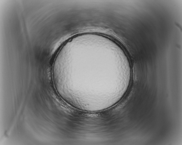 X0000099931501200806131350