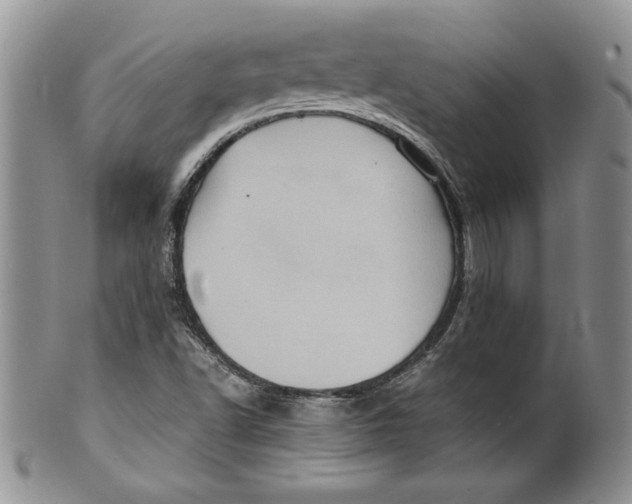 X0000099931502200806131350