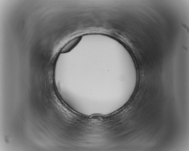 X0000099931504200806131350