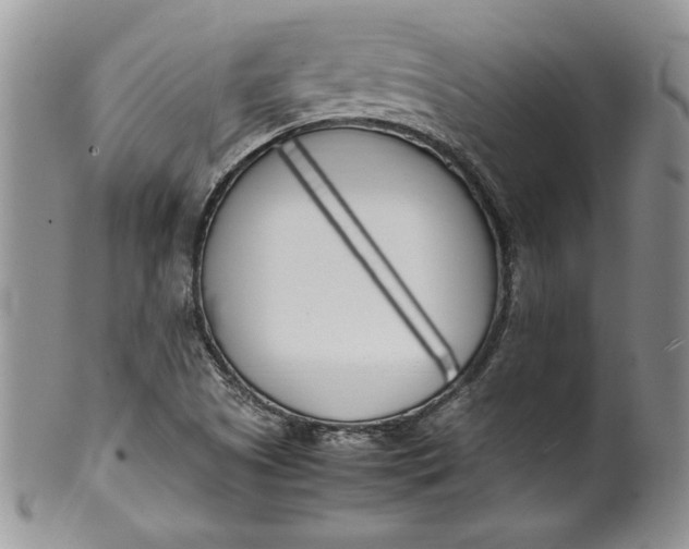 X0000099931505200806131350