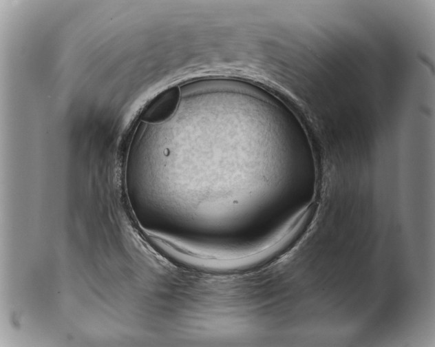 X0000099931506200806131350