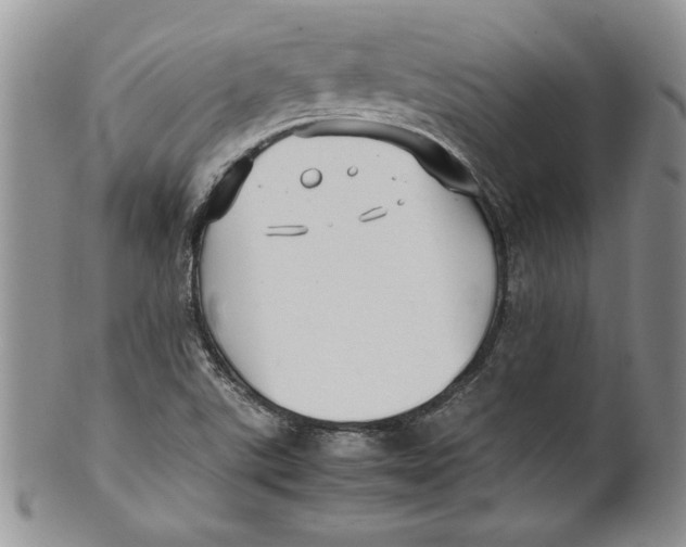 X0000099931507200806131350