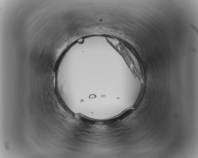 X0000099931509200806131350